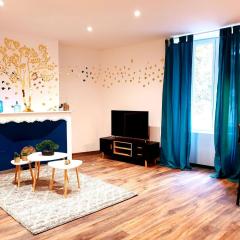 Le saphire St Affrique hyper centre ville