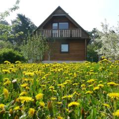 Holiday House Niedras Jurmala