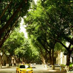 落脚城市青年旅舍