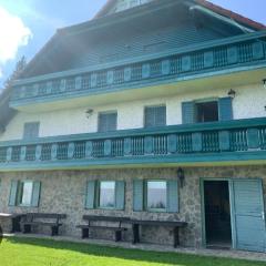 Apartma Ajdovka Rogla