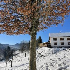 La Clé des Champs à Bussang - Gîte tout confort dans les Hautes Vosges