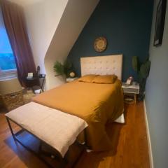 chambre chez particulier avec SDB et étage indépendant proche ARENA