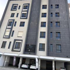 استوديو النخيل الكلاسيكي