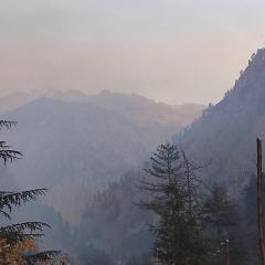 Apple garden cafe and stay