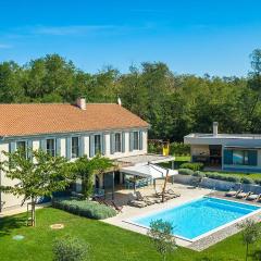 Luxury villa Povetica with pool in Vizinada