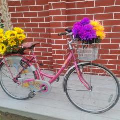 Vedic Village aquavilla raivilla