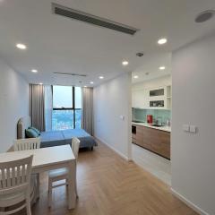 Hanoi Modern Studio Apartment Ninety Complex