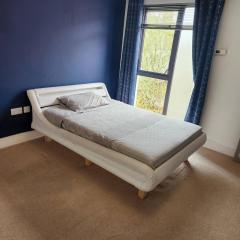 2 Bedroom Modern House