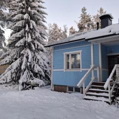Traditional Finnish Lapland house at wild forest backyard!