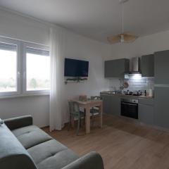 Casa di Viola - Ortensia