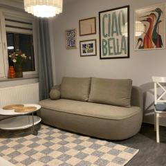 OSKA Apartament przy parku, klimatyzacja, TV, parking, Tauron, Expo, komunikacja miejska