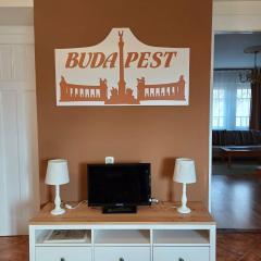 Albert Apartment near MVM Dome