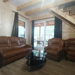 Domek nad jeziorem Wilczyńskim