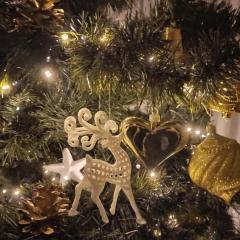 OLIMPIA Ośrodek Przygotowań Sportowych