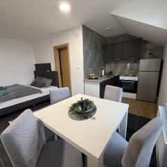 Apartman Rest Novi Sad