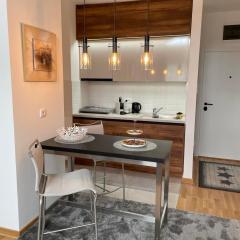 Vrdnik Residence - Apartmani Anonim