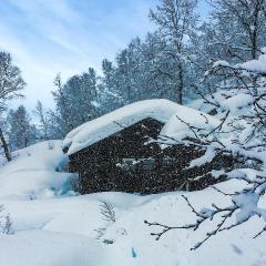 Awesome Home In Tjørhom