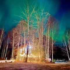 Riverfront, Authentic, Luxury Log Cabin-Bison