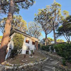 Apartment near Beach in Eraclea Mare 53889