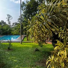 Avocado Orchards - Villa