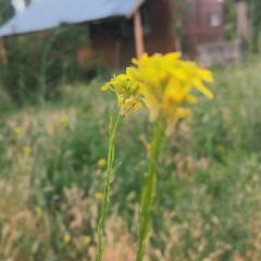 Cabaña La 40 "Relax y descanso en zona de chacras"