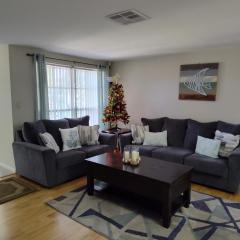 Comfortable, Sunny, Quiet Neighborhood