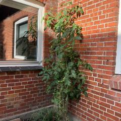 The Coziest Farm Holiday In The Countryside