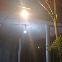 Whispering Wind Yala