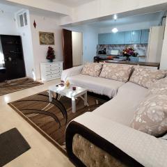 Ευρύχωρο και άνετο διαμέρισμα στην Ιτέα Joanna's Apartment