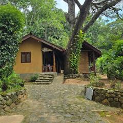 Nature Hub Econ Lodging