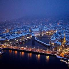 Mount Pilatus view Apartment Lucerne with free parking & WIFI