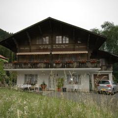 Chalet in Wilderswil with Jungfrau Views