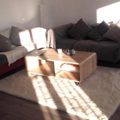 Chambre privee chez l habitant dans un appartement cosy avec acces aux espaces communs