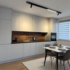 City Center Penthouse Mitrovice