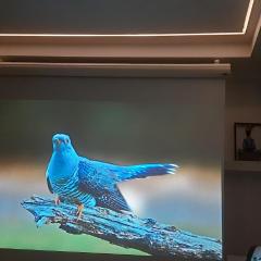 Rooms in easy accessible new apartment near Stave church