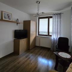 Park & Arena Apartament Kraków