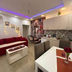 Apartman Petra Sokobanja