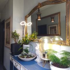 Central Maison Indigo