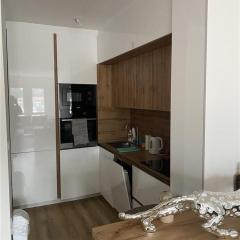 Luxury CH Apartments