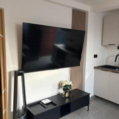 T2 moderne a 300 m hopital cayenne