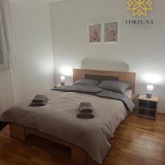 Apartman Fortuna Centar