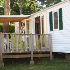 Mobil home spacieux avec terrasse à Payrac - API-1-52-1224