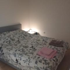 Apartmani Janićijević 2