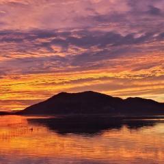 순천만에코비치