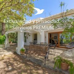 Sunny Bird House Bolonia