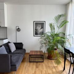 Luxury Apartment in Central Geneva