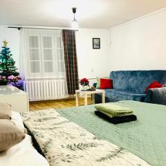 Duży apartament z kuchnią i łazienką w centrum Namysłowa