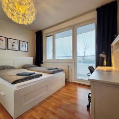 Park View City Center Location Apartment with Balcony