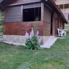 Vikendica Mijajlović 2