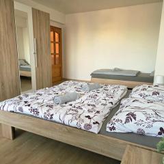 Apartment in center of Poděbrady